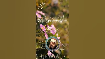 ﴿وَأَن لَّيْسَ لِلْإِنسَانِ إِلَّا مَا سَعَىٰ﴾#عبدالباسط_عبدالصمد #سورة_النجم