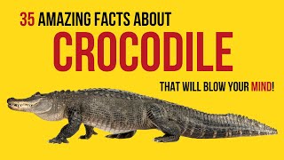 35  AMAZING facts about CROCODILE that will blow your mind! by Summary Facts 866 views 9 months ago 5 minutes, 46 seconds