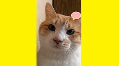 ながさん Youtube ながさん Youtube