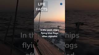 517. Ships & Sadness: Unveiling the Nautical Origins of "Feeling Blue"!