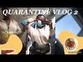 QUARANTINE VLOG PART 2| Cleaning, Food etc....|Martha Smith.