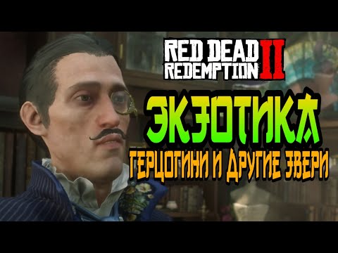 Video: Kako Kotorra Springs V Red Dead Redemption 2 Pomaga Najti Glavni Zaklad Igre