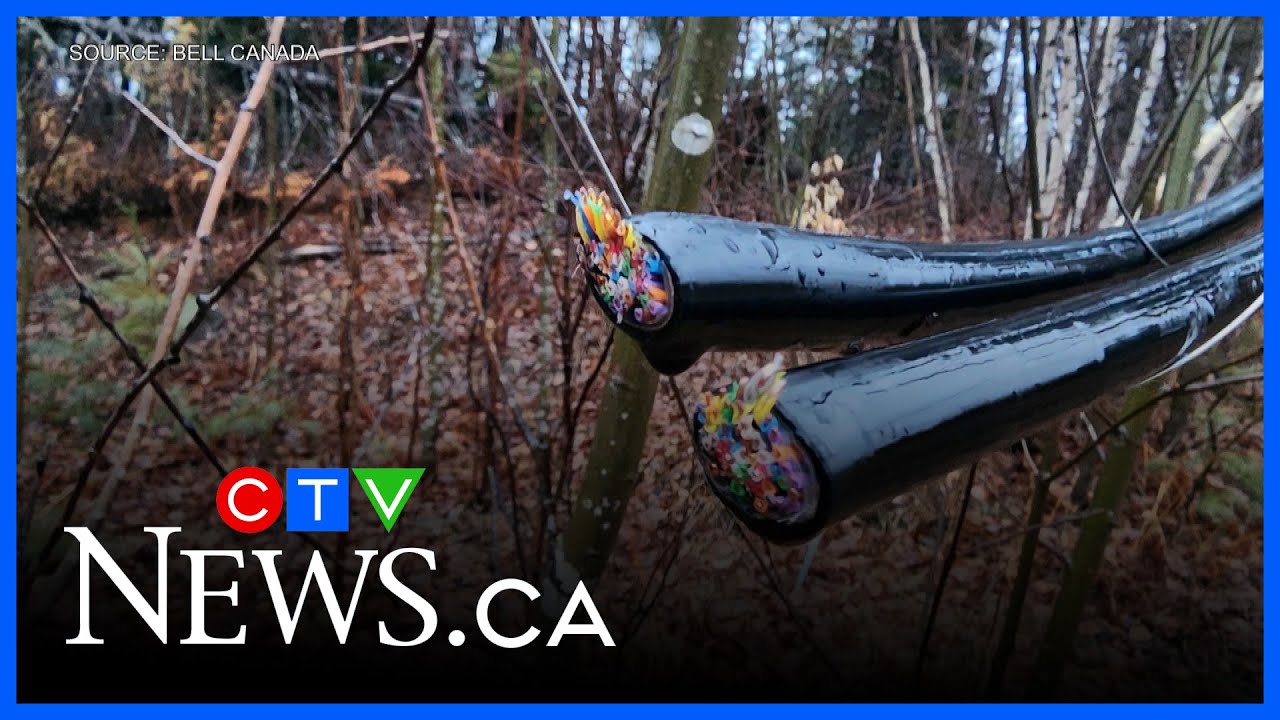 Copper thefts on the rise in New Brunswick