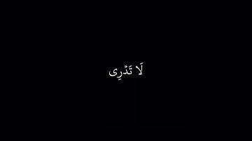 شاشة سوداء || سورة الطلاق || رعد الكردي