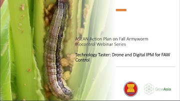 Drones and Digital IPM for Fall Armyworm Control