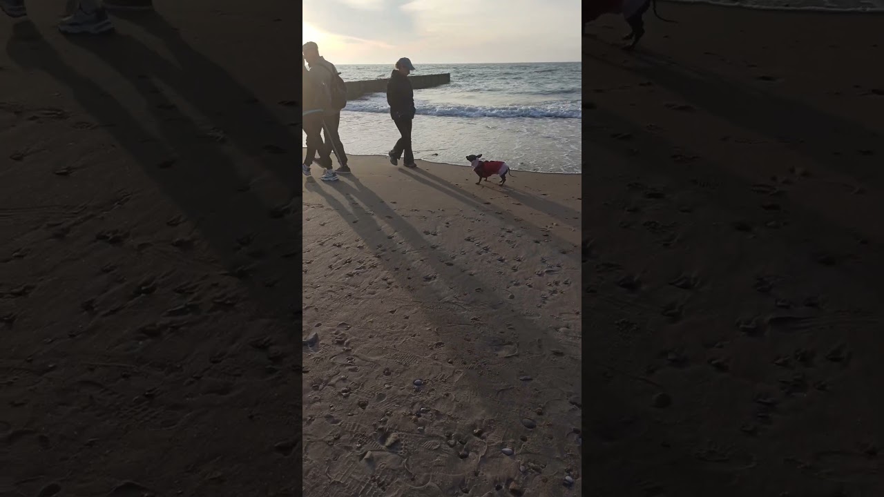 Сенди на море. 