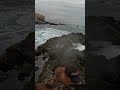 Fuertes oleajes ante pescadores - Extracción de algas