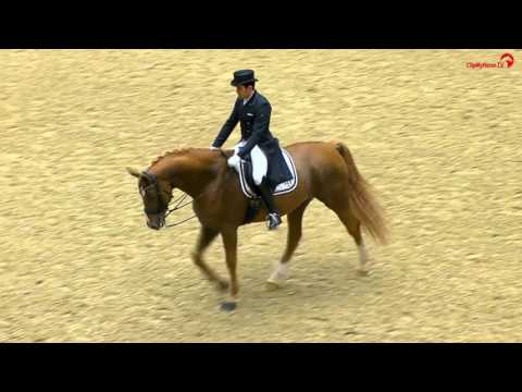 Spanish Severo Jurado Lopez / Lorenzo 2016 CDI3 freestyle win Herning DEN Spanish Severo Jurado Lopez / Lorenzo 2016 CDI3 freestyle win Herning DEN