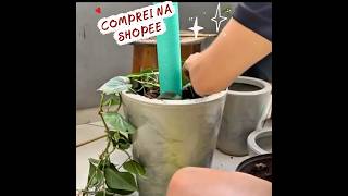 Mudança no jardim de inverno: organização e dicas práticas 💚