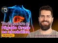 Todo Sobre el Hígado Graso | Nutrición En Cinco | En5.mx