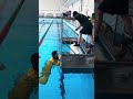 UIM turtle test