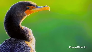 Project 12-10(1)_Full HD 1080p.mp4