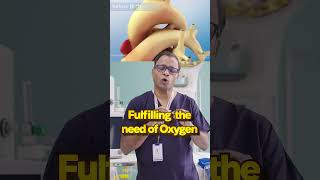 Understanding Patent Ductus Arteriosus (PDA) in Premature Babies #shorts  #baby