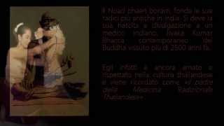 Thai evolution massage