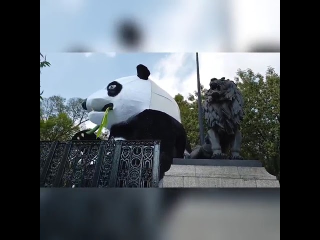 Festejo por los 100 años del Zoológico de Chapultepec