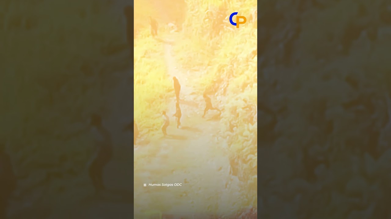 Belasan Anggota KKB Bakar SMPN Kiwirok, Satgas Operasi Damai Cartenz Kejar Pelaku