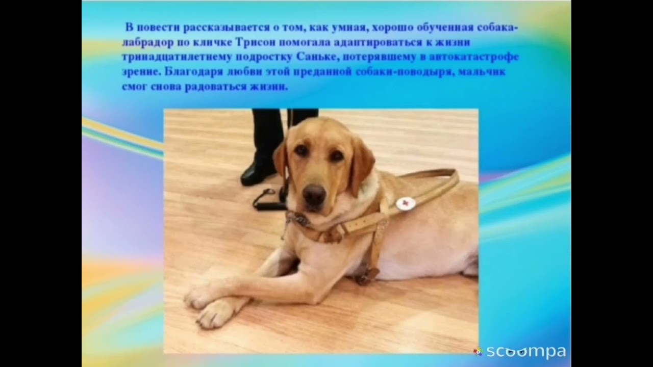 рассказывается про. рассказывается про. герои рассказа уроки французского. настя и митраша кладовая солнца. рассказывается про.