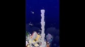 エブリタウンの実況 スマホゲーム エブリタウン12日目 Youtube エブリタウンの実況 スマホゲーム エブリタウン12日目 Youtube