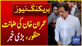 Big News: Imran Khan Granted Bail in 190 Million Pound Case | Breaking News | Dawn News