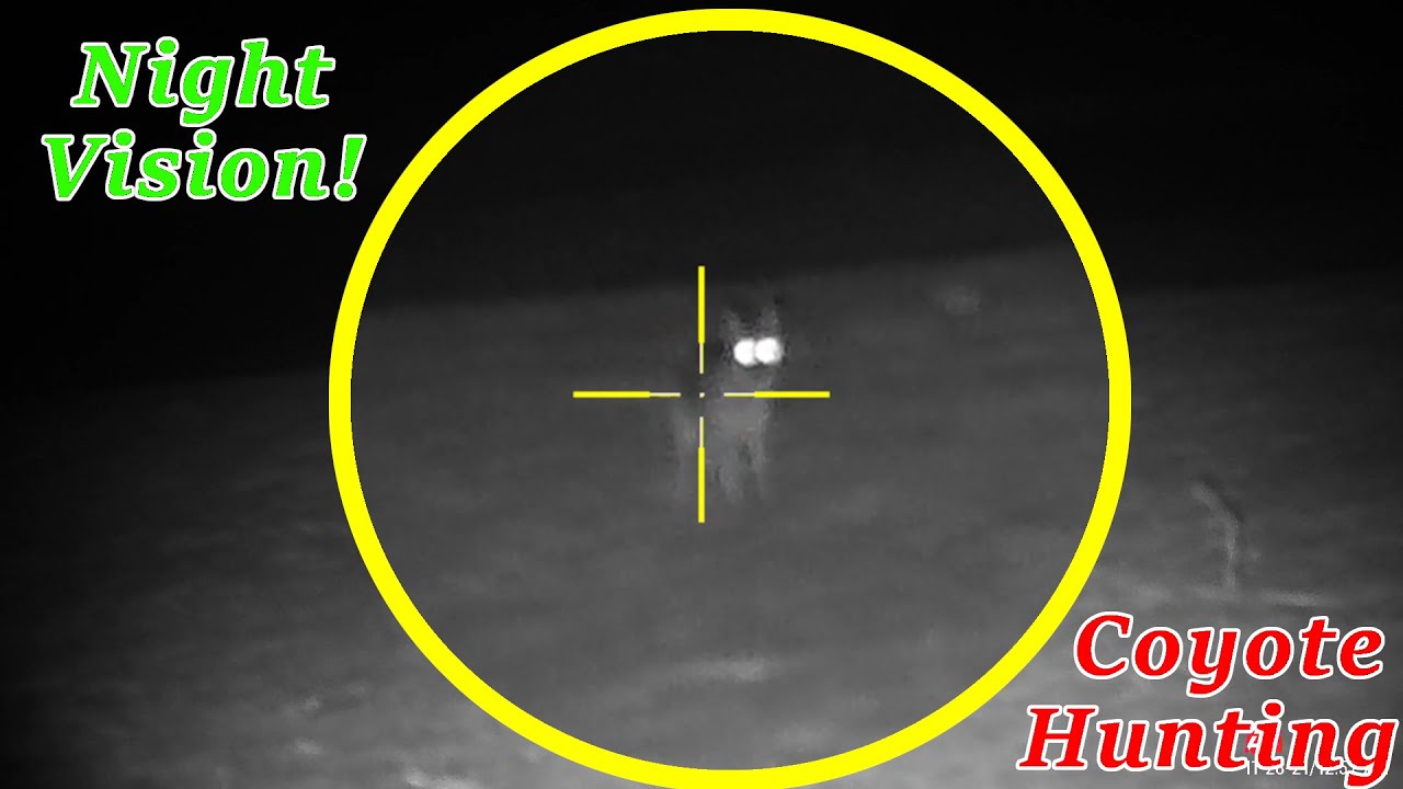Coyote Chaos! NIGHT VISION Coyote Hunting! (With Karburetor Kousins