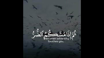وما بكم من نعمة فمن الله ثم إذا مسكم الضر فإليه تجأرون | سورة النحل | القارئ عبدالرحمن مسعد