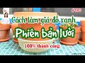 #180. CÁCH LÀM GIÁ ĐỖ XANH BẰNG CHẬU ĐẤT - phiên bản lười