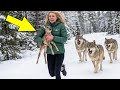 Saved a BABY MOOSE from WOLVES... Thought he was mine, but he found his MOM! Heartbreaking ending 💔