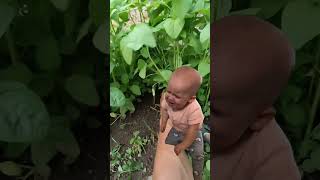 Download Lagu Picking spinach in the yard☺️#shots#visitani MP3
