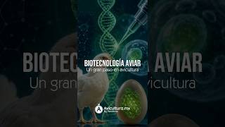La edición genética en aves podría estar entrando en una nueva etapa 🧬🐔