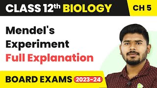 Mendel's Experiment (Full Explanation) - Principles of Inheritance and Variation | Class 12 Biology