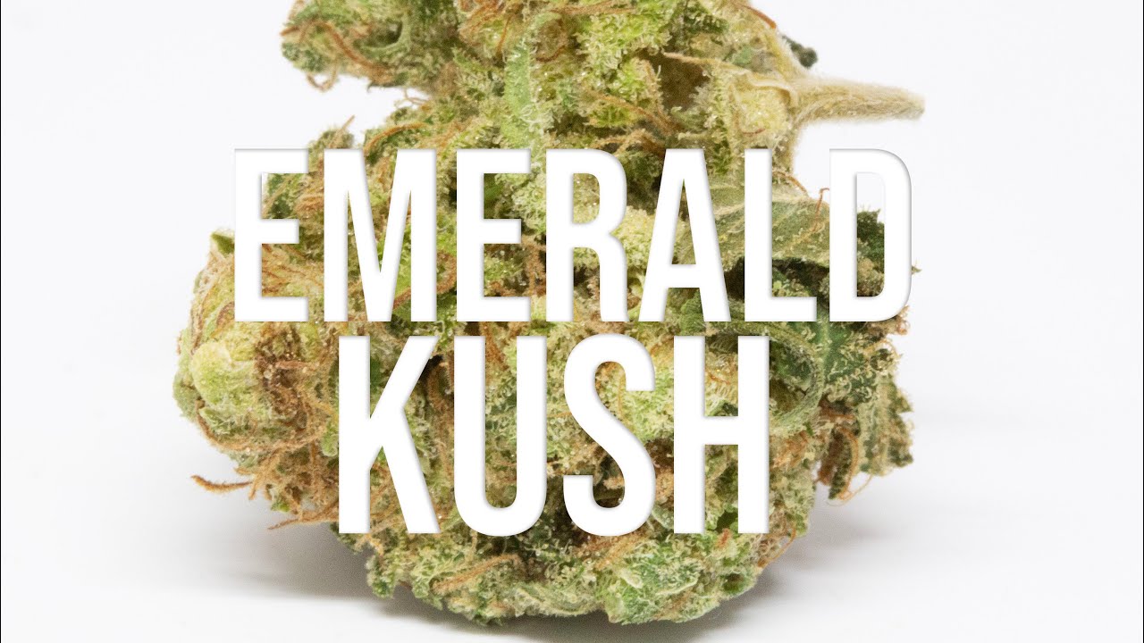 Some danky Emerald Kush strain review!