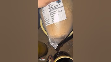 8” Inch Gold silk willow and red plum with ghost ring + rising Flower tail 🔥 #pyro #shell #vuurwerk