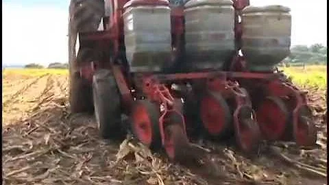 O que é o plantio direto na palha?