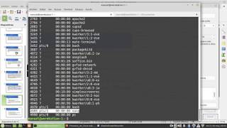 Video 12.- Procesos y el comando ps.