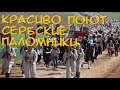 Крестный ход в Екатеринбурге 17 июля 2018 , паломники из Сербии