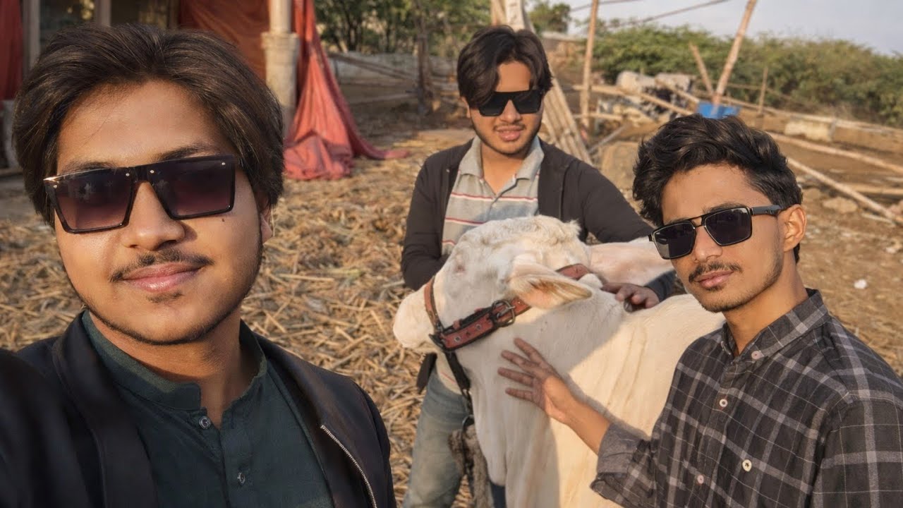 Aj phir baray pouch gay🤯🐂🐑#sufibhai #mandi #vlog #cow #followforfollowbak #sufyan #unfrezzmyaccount 