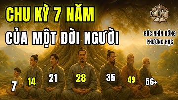 CHU KỲ 7 NĂM CỦA MỘT ĐỜI NGƯỜI - Góc Nhìn Đông Phương Học | Danh Ngôn Cổ