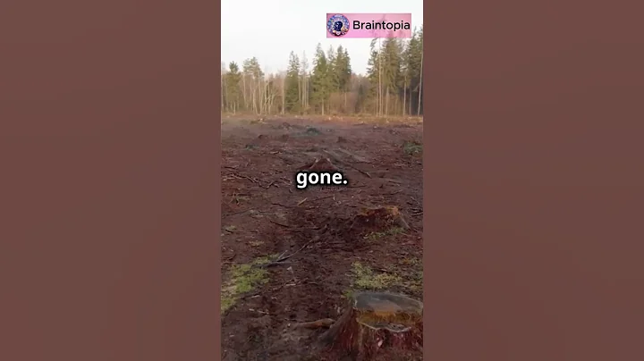 FBI's biggest mystery