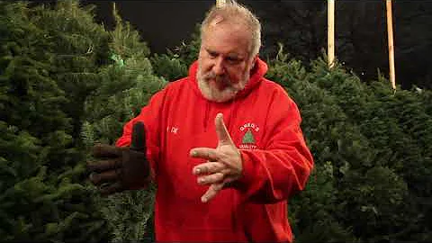 Gregory Walsh on his Tree Stands Beginnings - clip...