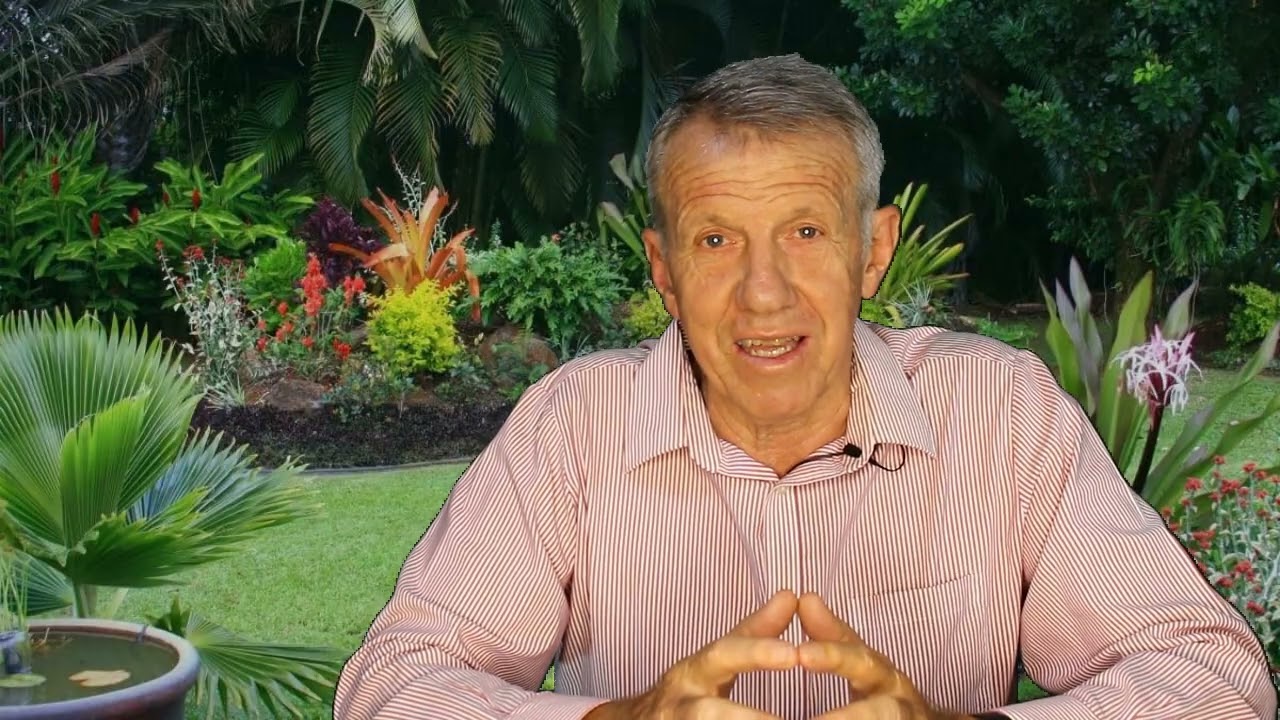 Die krag van God se vergifnis