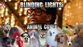 The Weeknd  Blinding Lights (Animal Cover)