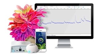 (Phytl Signs) Device lets you hear flowers talk by picking up the signals sent through their leaves Wealth