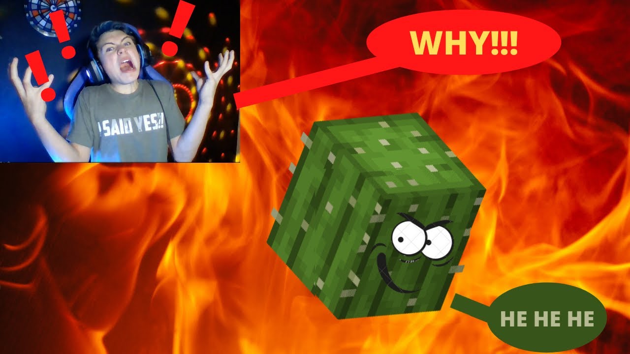 WHY IS THIS VIDEO ABOUT CACTI!? 