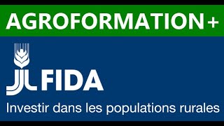 Production Du Chips À Base De Manioc