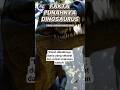 FAKTA PUNAHNYA DINOSAURUS"Kisah dibaliknya; dunia yang sekarat dan rantai makanan runtuh" #fyp