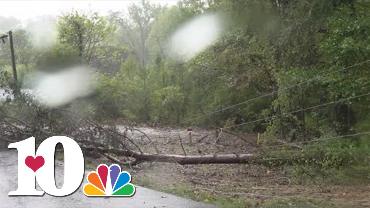 Trees, power lines down in some Knox County neighborhoods - YouTube