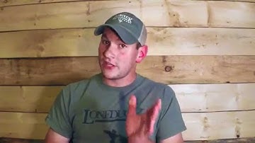 When Should I Begin Force Fetch? - Ask Lone Duck