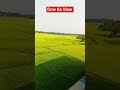 Mini Vlog Gow ka view 😇 #shorts #viralshorts #minivlog