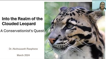 Into the Realm of the Clouded Leopard: A Conservationist