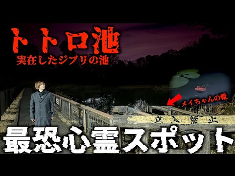 【心霊】となりのトトロがモデルになった最恐心霊スポットで女の子の泣き声が聞こえて撮影中断…(ジブリ)(たっちゃん池)